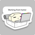 Working From Home